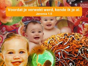 Moederschoot Jeremia