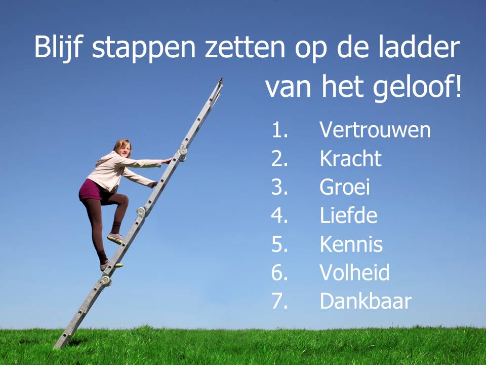 Ladder tekst