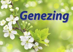 genezing-natuurplaatje