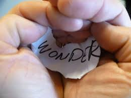 wonder