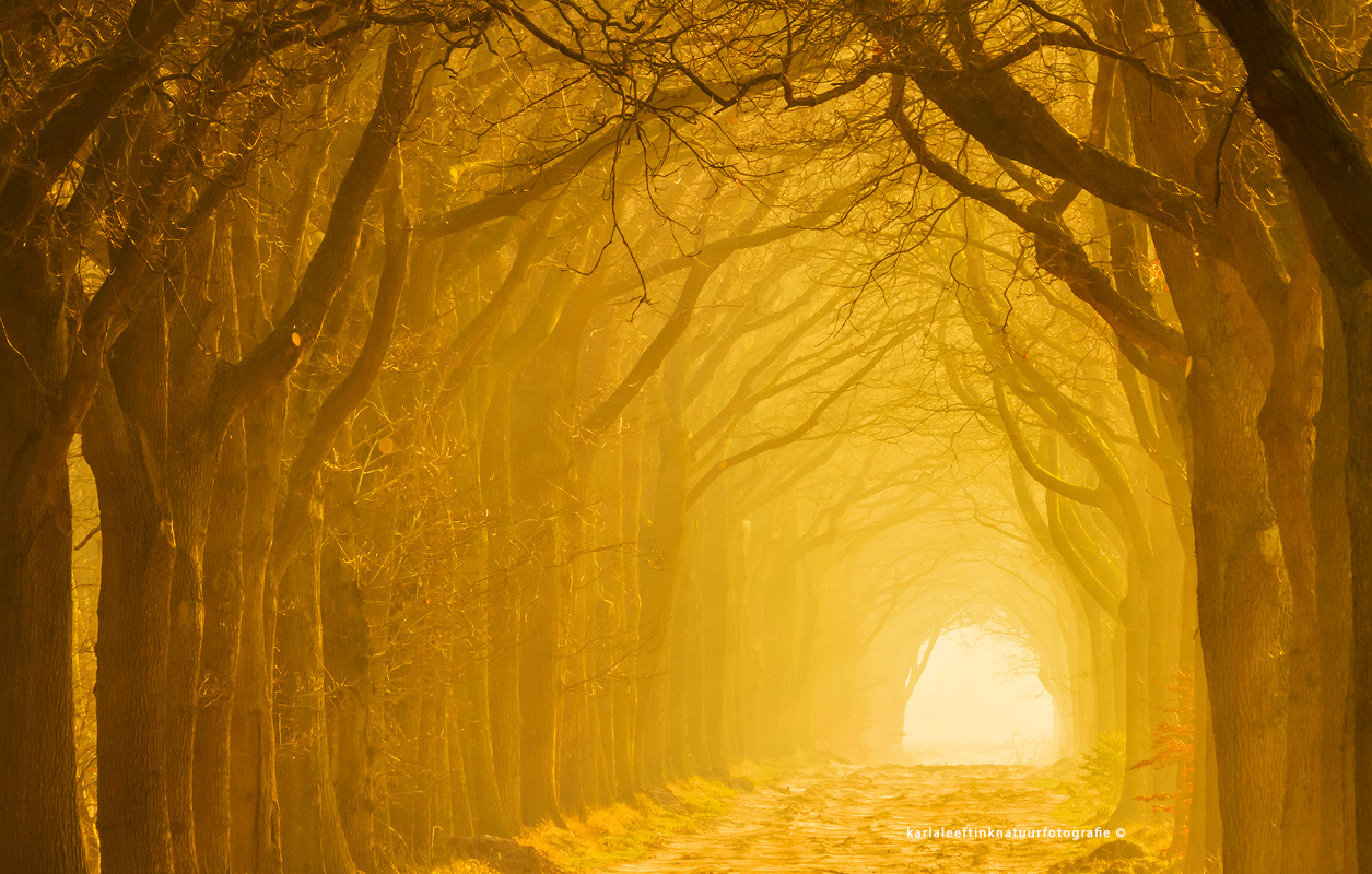 kln poort naar het licht